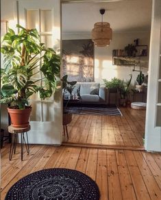 a living room with wooden floors and plants on the floor, in front of a door