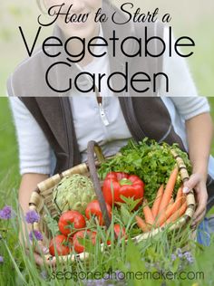 a woman sitting in the grass holding a basket full of vegetables with text overlay reading how to start a vegetable garden