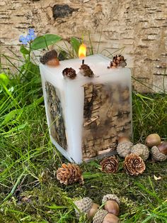 a candle that is sitting in the grass next to some pine cones and acorns