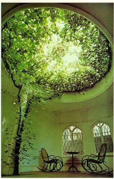 an open room with two chairs and a table under a tree filled ceiling that has green leaves on it