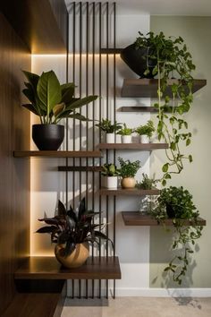 some plants that are sitting on shelves in a room