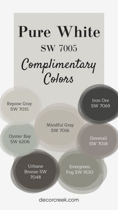 The image displays complementary colors for the paint "Pure White SW 7005" by Sherwin-Williams. It features circular color swatches labeled with their names, including Repose Gray, Mindful Gray, Oyster Bay, Iron Ore, Dovetail, Urbane Bronze, and Evergreen Fog. The background is a soft neutral, representing Pure White, and the design highlights a balanced mix of light and dark shades for a cohesive color palette. Dovetail Color Scheme, Evergreen Fog Entryway, Colors That Compliment Iron Ore, Mindful Gray Color Scheme, Iron Ore Sherwin Williams Color Scheme, Oyster Bay Vs Evergreen Fog, Repose Gray Walls With White Cabinets, Sw Oyster Bay Exterior, Sw Drift Of Mist Coordinating Colors