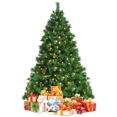 a christmas tree with presents under it on a white background, surrounded by lights and bows