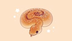 a brown snake with white dots on it's head and tail, curled up in the shape of a human brain