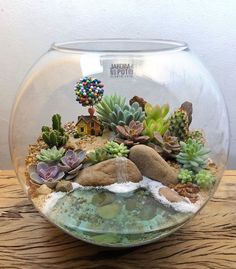 a glass bowl filled with plants and rocks