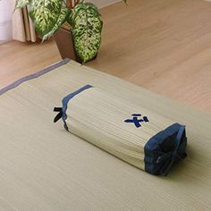 a mat with a blue cross on it and a potted plant in the background