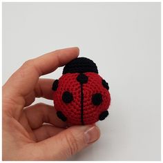 a hand holding a tiny crocheted ladybug brooch in red and black