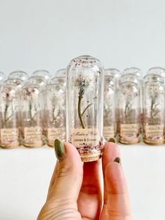 a hand holding a tiny glass jar with a plant inside and lots of small bottles in the background