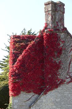 an old brick building with vines growing on it