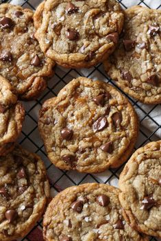 chocolate chip cookies on a cooling rack ready to be eaten by someone or someone in the kitchen