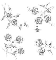 four different types of flowers on a white background with black and white lines in the middle