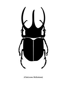 a black and white image of a beetle