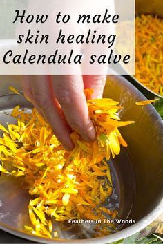 How to make herbal salve using calendula petals and coconut oil to heal chapped skin. Salves And Balms, Healing Salve Recipe, Calendula Salve, Healing Salve, Healing Remedies, Working Hands