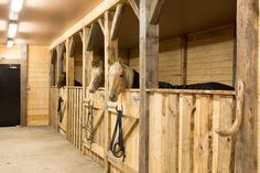 two horses are standing in the stable with their heads sticking out