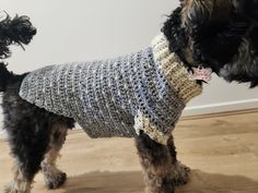 a small dog wearing a sweater on top of a wooden floor next to a wall