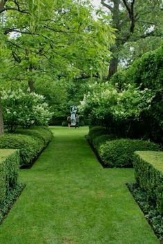 a lush green garden with hedges and trees