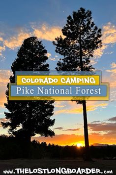 the colorado camping pike national forest sign at sunset