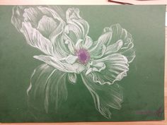 a pencil drawing of a flower on a green paper with white and purple flowers in the center