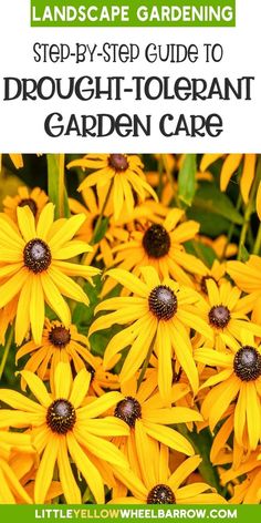 yellow flowers with text overlay that says, landscape gardening step - by - step guide to