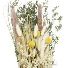 dried flowers and grasses are arranged in a vase