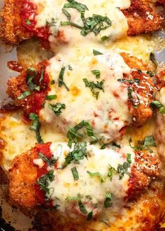 three chicken parmesan casserole in a pan with cheese and herbs on top