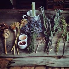 Medical Astrology, Nature Witch, Magickal Herbs, Witch Herbs, Sacred Plant, Hedge Witch, Pagan Witch, Aesthetic Tumblr