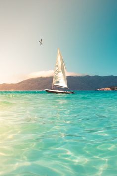 a sailboat floating in the ocean on a sunny day