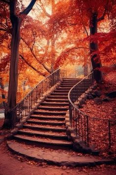 an old set of stairs leading up to the top of a tree covered hill in autumn