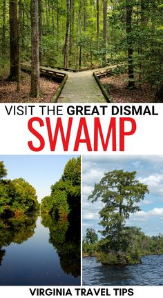 the great dismal swamp in virginia, usa with text overlay that reads visit the great dismal swamp