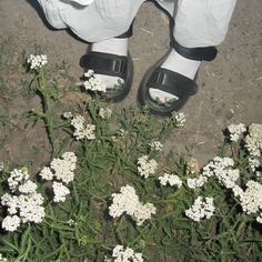 a person wearing white pants and black sandals standing in front of some small white flowers