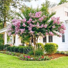 a white house with pink flowers in the front yard