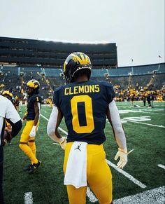 a football player is standing on the field