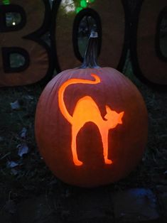 a carved pumpkin with a cat on it