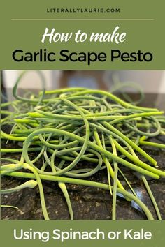 how to make garlic scape pesto using spinach or kale