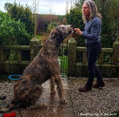 a woman standing next to a dog in the rain