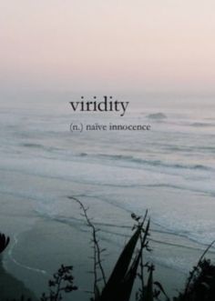 the words viridity are written in black and white on a beach at dusk