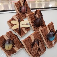 six pieces of chocolate cake with bugs and insects on them, sitting on a table