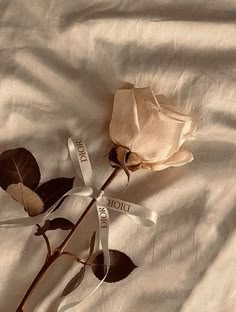 a single rose is laying on a white sheet with the word love written across it