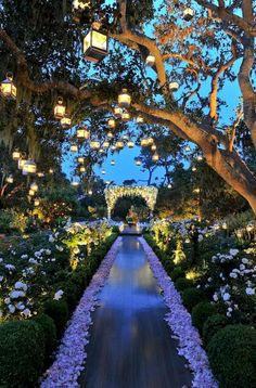 the walkway is lined with white flowers and lit lanterns hanging from the trees above it