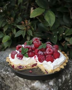 Glorious Raspberry Cream Pie, perfect for the festive season! Red Raspberry Cream Pie, Raspberry Cream Pie, Raspberry Cream Pies, Cinnamon Sticky Buns, Grilled Broccolini, Coconut Muffins, Custard Cream, Berry Breakfast, Pork Fillet