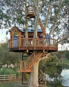 a tree house built into the side of a large tree in front of a lake