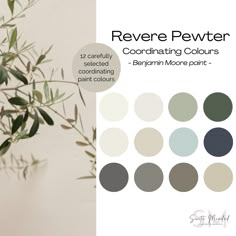 a vase filled with lots of green plants next to a white wall and the words revere pewter coordinating colours