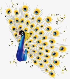 a peacock with its feathers spread out in front of the camera on a white background