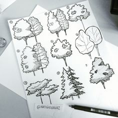 some trees and leaves are drawn on paper