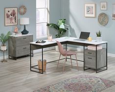 a desk with a laptop computer on top of it next to a rug and potted plant