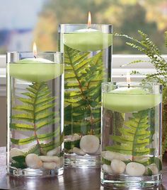 three glass vases filled with plants and rocks