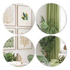 four circular pictures with plants in them on the wall above couches and chairs, along with green curtains