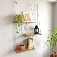 two hanging shelves with plants and books on them