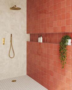 a bathroom with red tiles and gold fixtures, including a shower head and handset