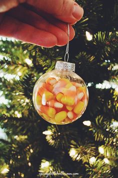 a hand holding a glass ornament with candy in it on a christmas tree